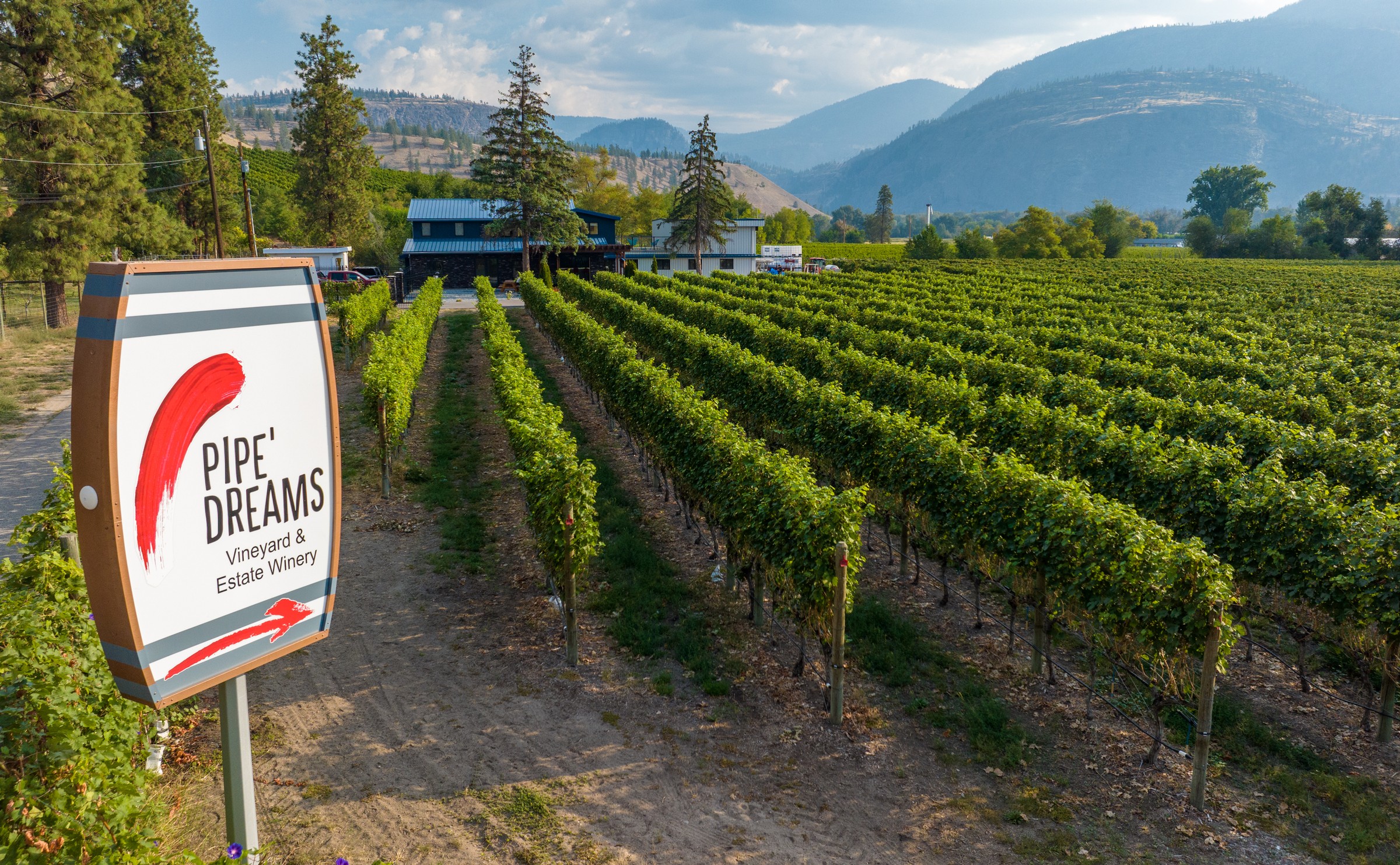 Pipe Dreams Vineyard & Winery